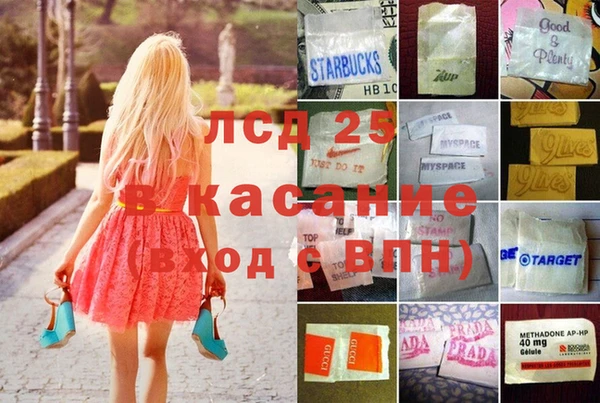 гашик Магас