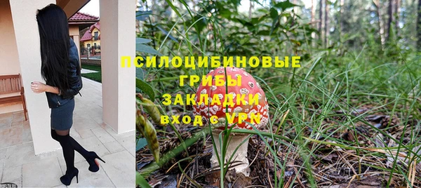 гашик Магас